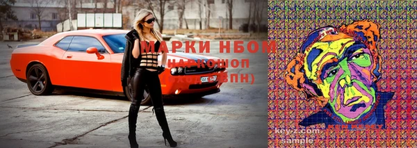 гашик Волосово