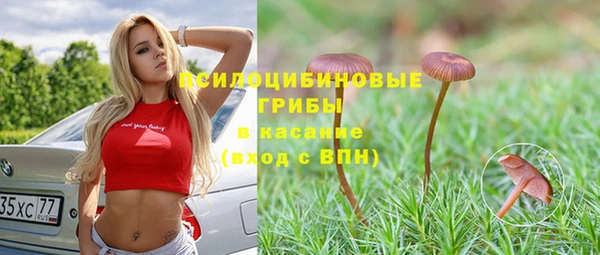 твердый Волоколамск