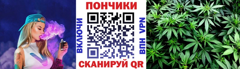 Бошки марихуана конопля  хочу   Салават 